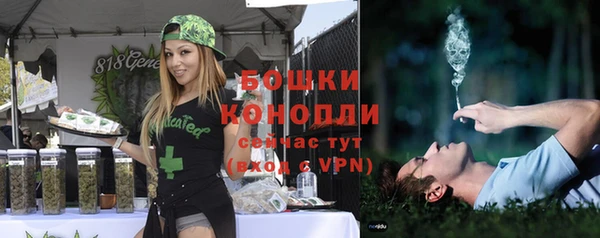 МДПВ Рославль