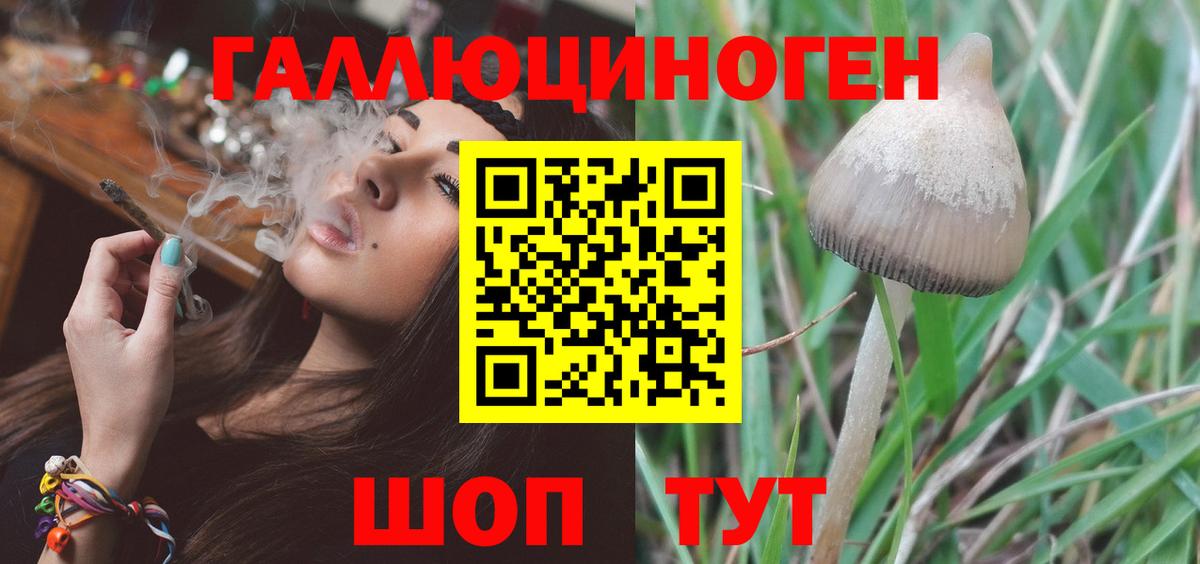 Псилоцибиновые грибы GOLDEN TEACHER  Бугуруслан  Галлюциногенные грибы Psilocybine cubensis 