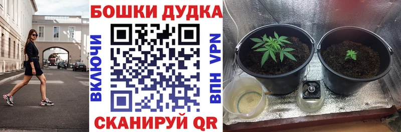 Бошки марихуана THC 21%  маркетплейс какой сайт  Бугуруслан 